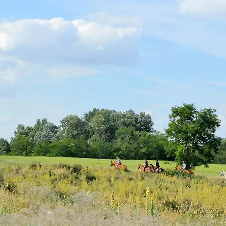 Hunor Lovastanya אורחן