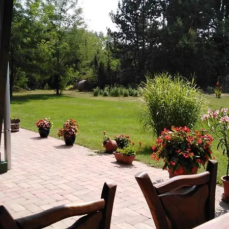 Hunor Lovastanya אורחן