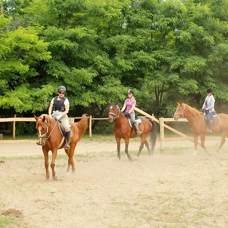 אורחן Hunor Lovastanya Kunbaracs