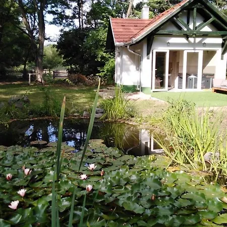 אורחן Hunor Lovastanya