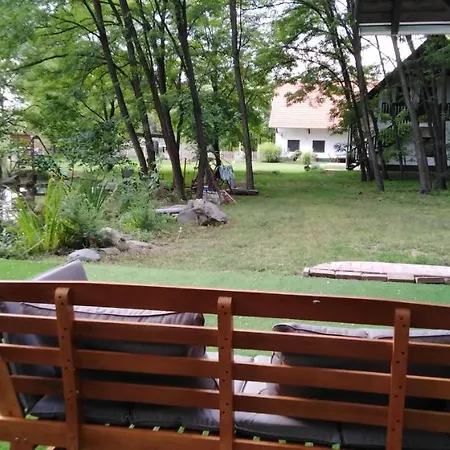 Hunor Lovastanya אורחן