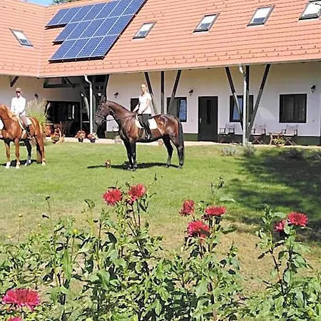 Hunor Lovastanya Kunbaracs