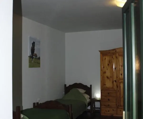 Hunor Lovastanya Zajazd